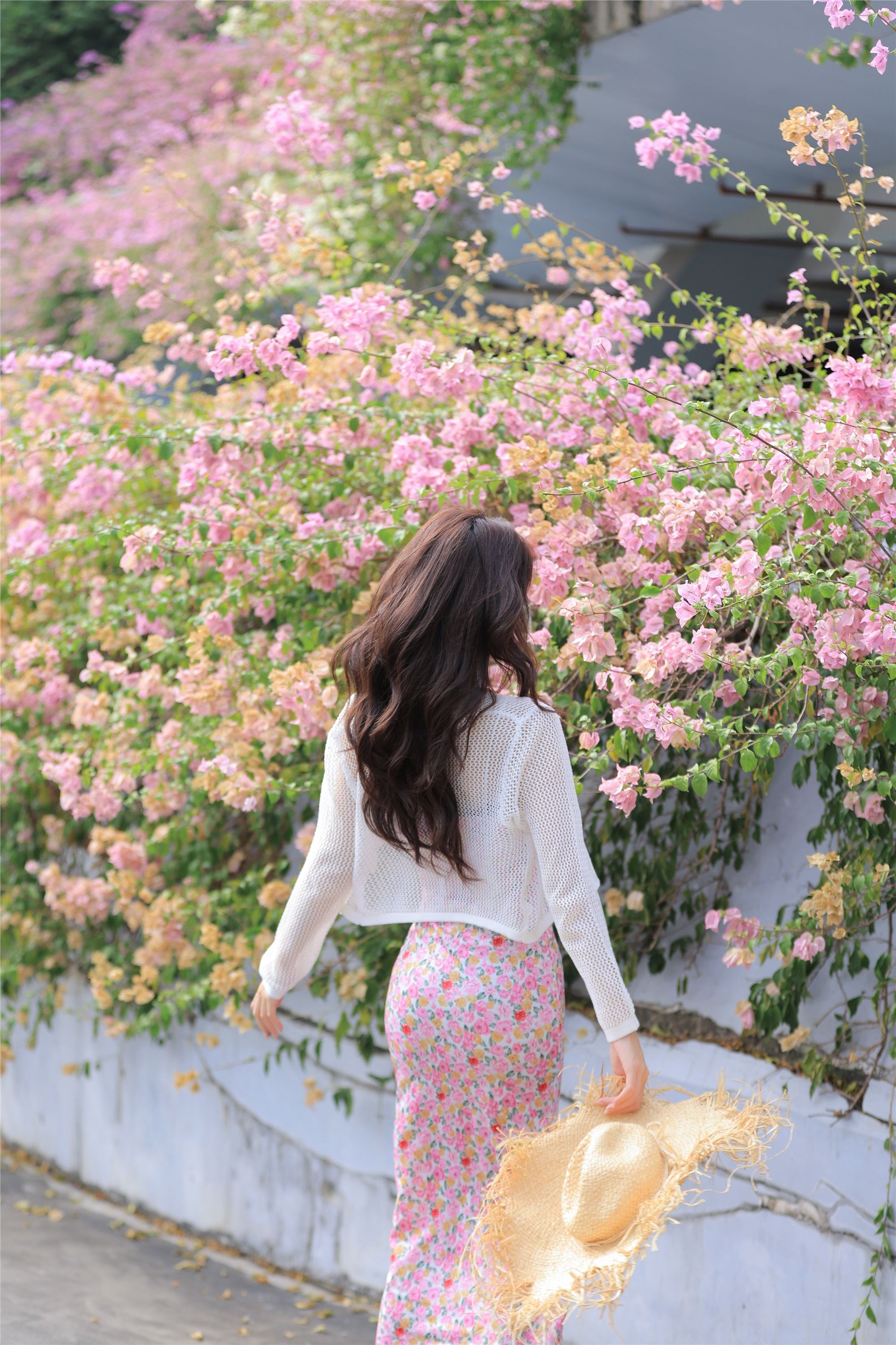 YITUYU艺图语 2025.01.29 春天来了又来 林士真